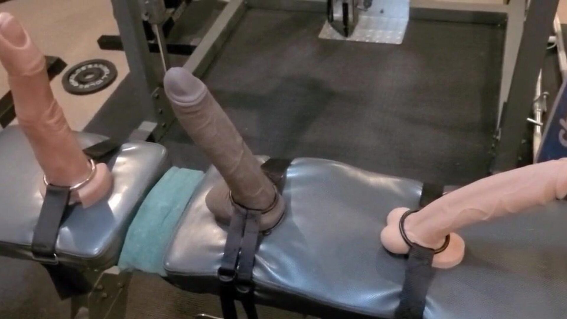 Sissy Saddlestrap Squats with Three Big Mr Hankeys Toys Watch Sissy Saddlestrap Squats with Three Big Mr Hankeys Toys episode on xHamster - the ultimate collection of free Online Redtube & Mobile Red Tube HD porn tube vids