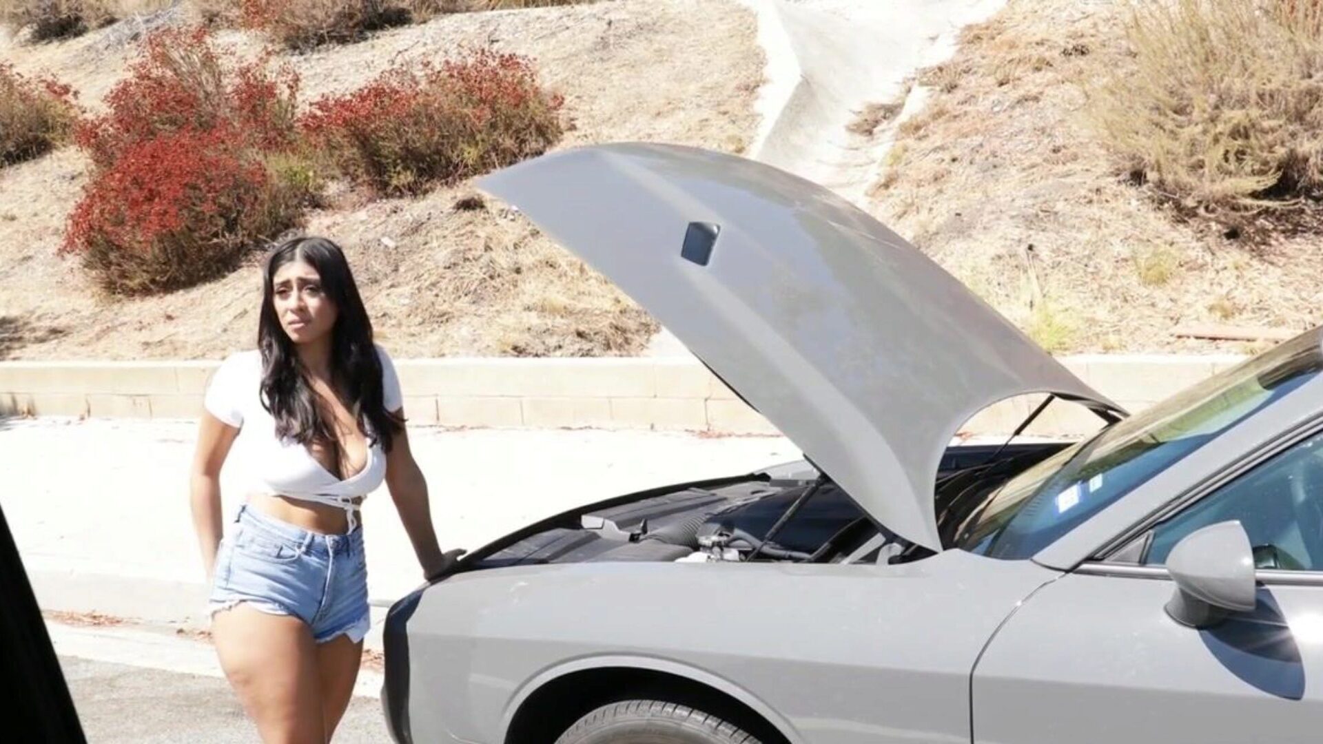 acompanhantes peludas sao paulo - Busty Latina Violet Myers Offers Her Pussy To Random Black Dudes